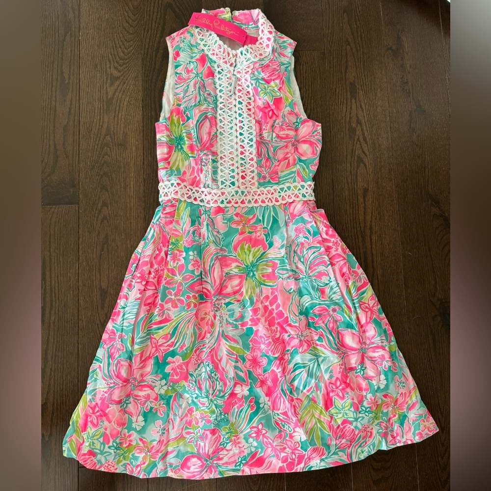 Lily Pulitzer Fanci dress